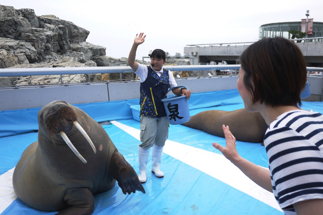 画像⑥うみたまパフォーマンス