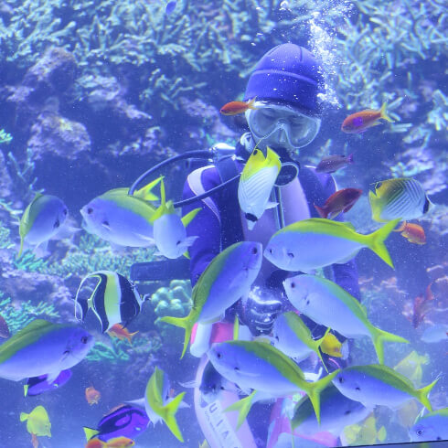 画像⑦サンゴ大水槽水中散歩