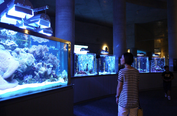画像⑪館内散策