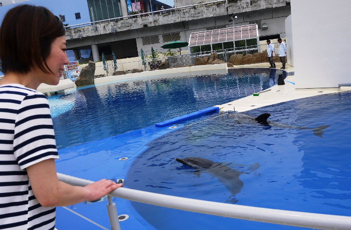 あそびーちプール