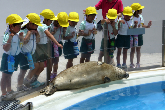 あそびーちプール