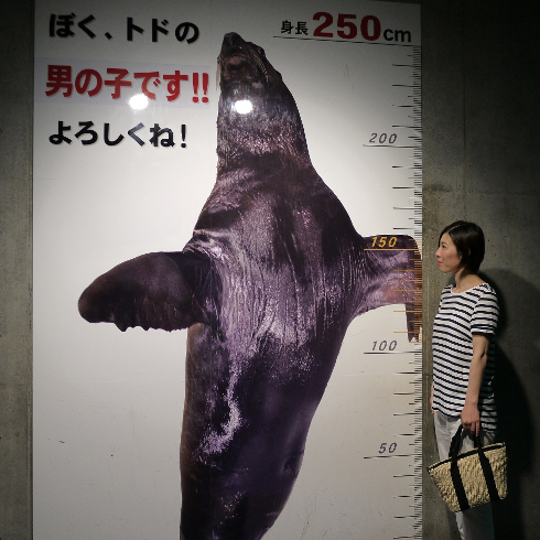 あそびーち入口