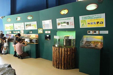 北海道の希少動物