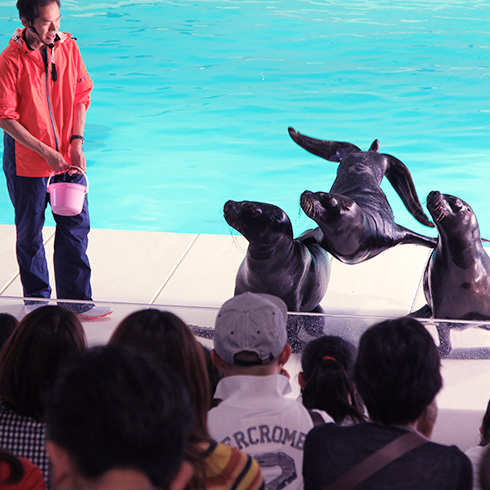 オタリアショー