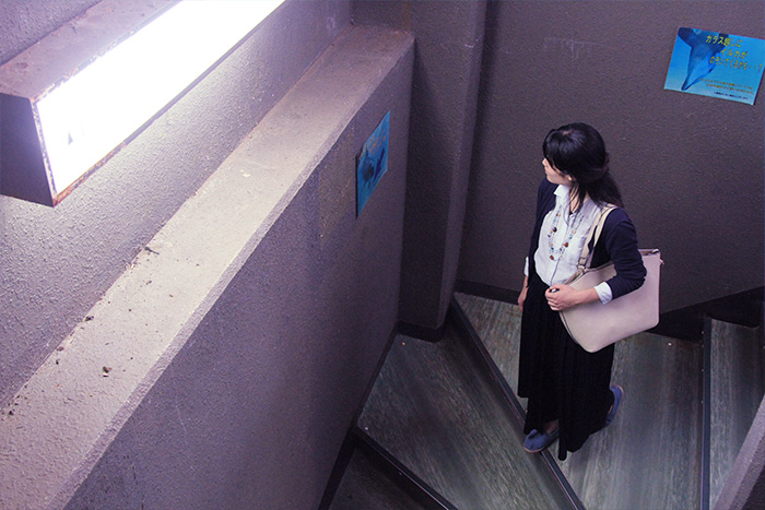 イルカスタジアム　階段