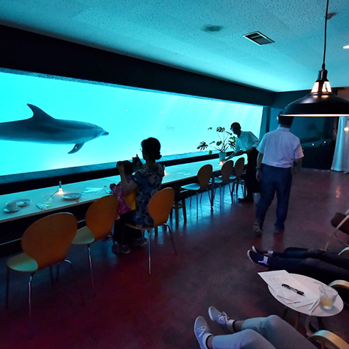 夜の水族館　ファントムカフェ