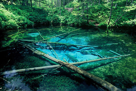 緑豊かな夏の時期、神の子池は見事なコバルトブルーに