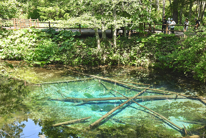 対岸から見た神の子池
