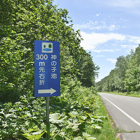 神の子池の青看板
