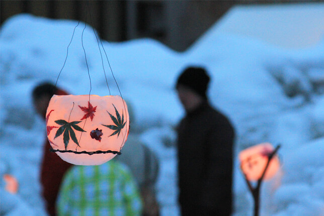 ワックスボウル