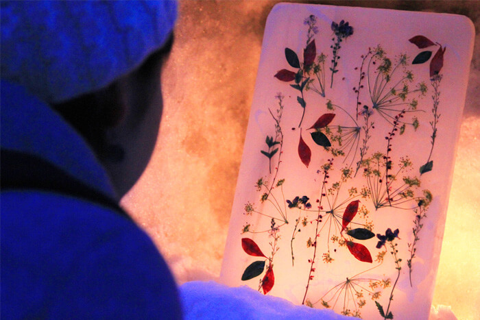 花を使った照明