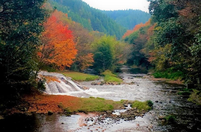 ゆうすい自然の森