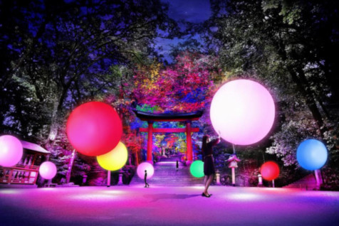 「チームラボ」によるデジタルアート