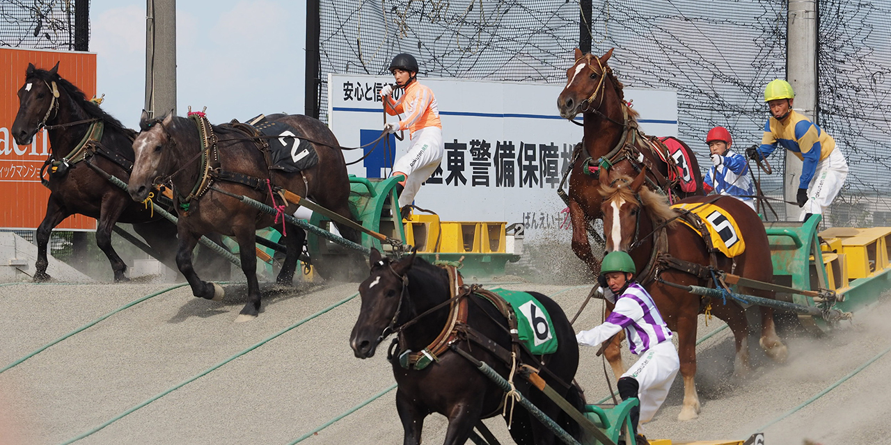 ばんえい十勝　レース