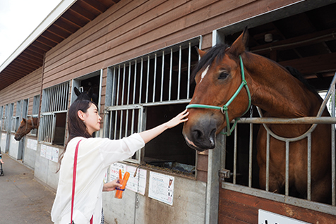 ふれあい動物園