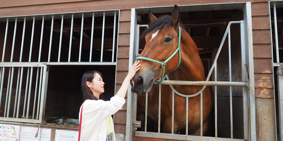 ふれあい動物園
