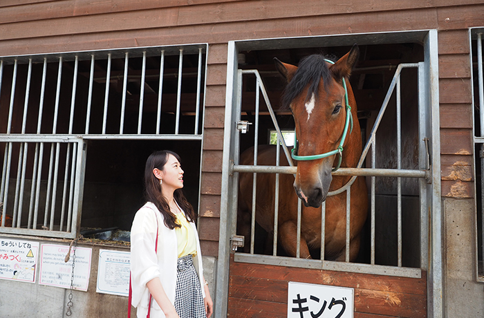 ふれあい動物園