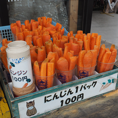 ふれあい動物園