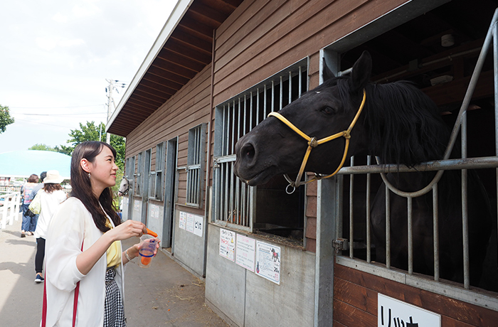 ふれあい動物園