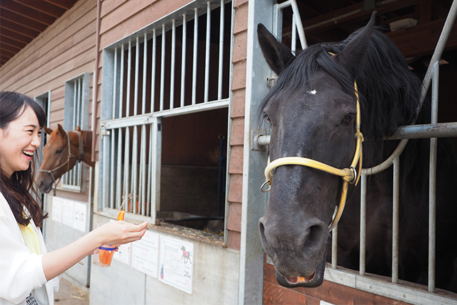 ふれあい動物園