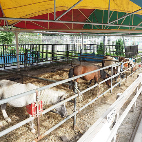 ふれあい動物園