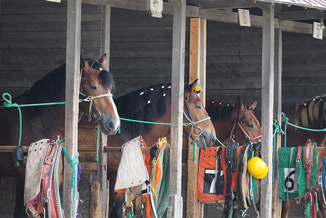 バックヤードツアー