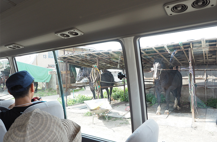 バックヤードツアー