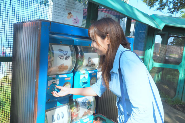 シマリス公園ガチャガチャでエサを買う
