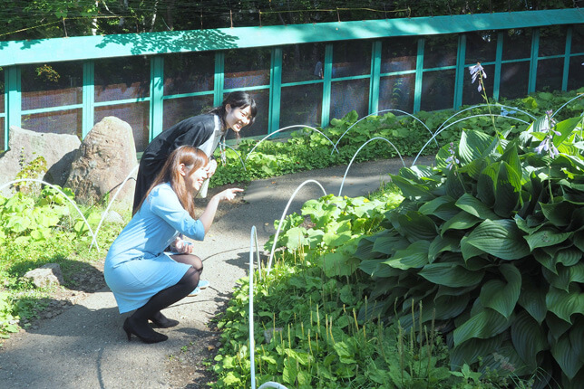 シマリス公園でリスを探す