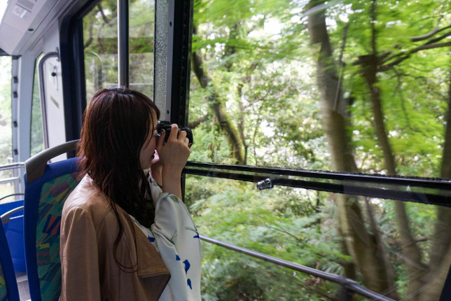 車窓からは木々の緑