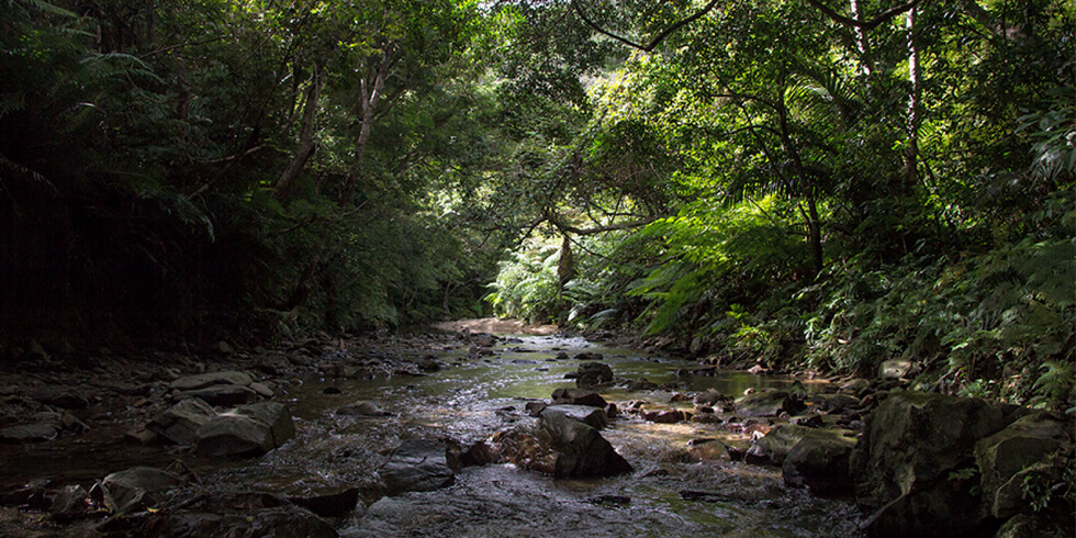ワクワク感満載！　滝つぼを目指そうの記事イメージ