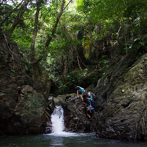 ワクワク感満載！滝つぼを目指そうの記事イメージ