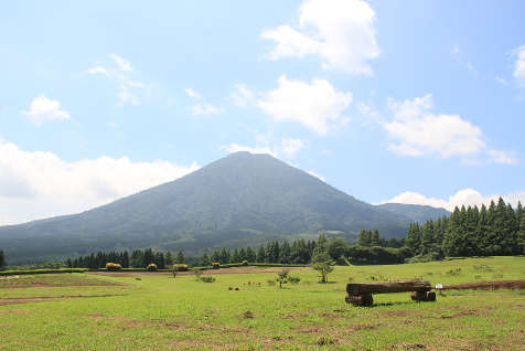 昼は100万本のコスモス、夜は花火が満開