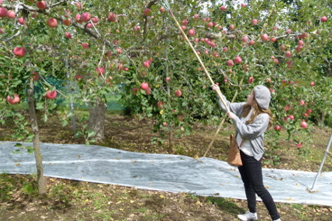 生駒高原周辺で立ち寄りたいスポット！