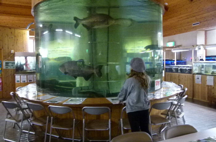 出の山淡水魚水族館2