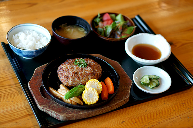 ダムの駅富士 しゃくなげの里3