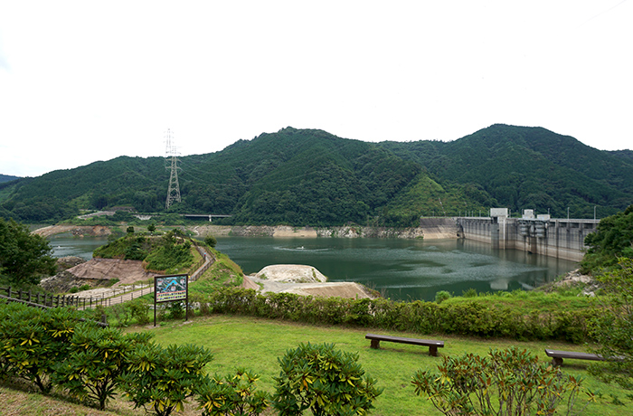 ダムの駅富士 しゃくなげの里4