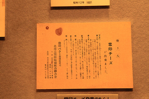 雪印チーズのちらし