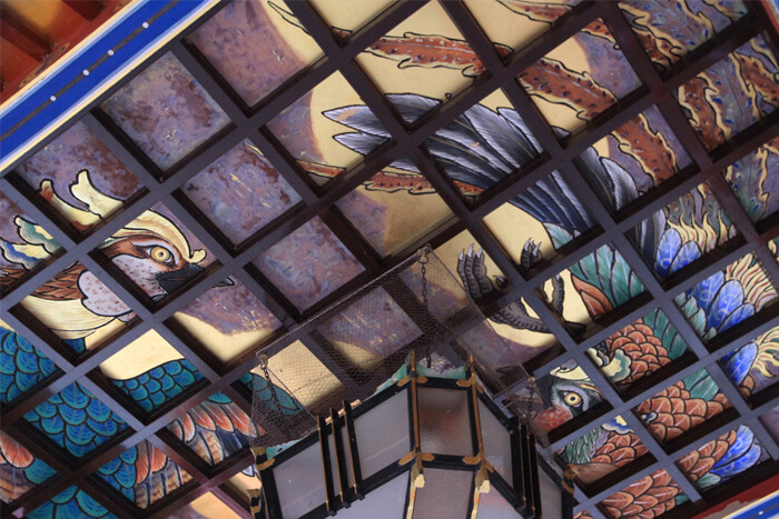 本殿を見上げる