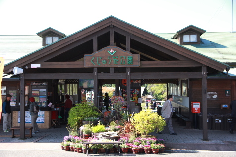 500種500万本の花々