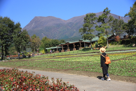 イベント多彩、春に七色花祭り