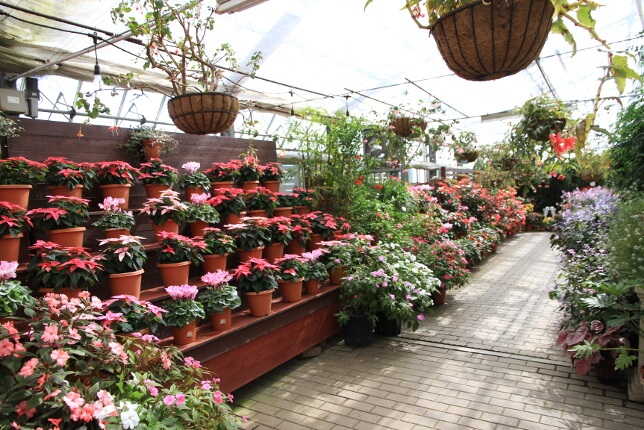 アンティル内観