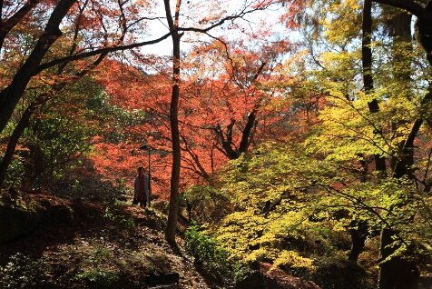 振り向き坂の途中