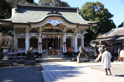 武雄神社の御神木の大楠