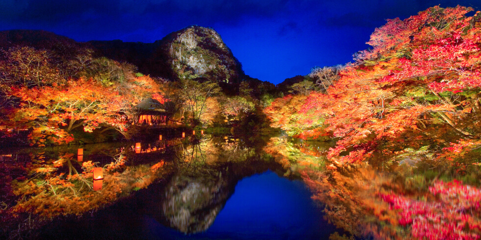 ローカル案内役がガイドする 佐賀観光でしたい8つのこと、43の体験