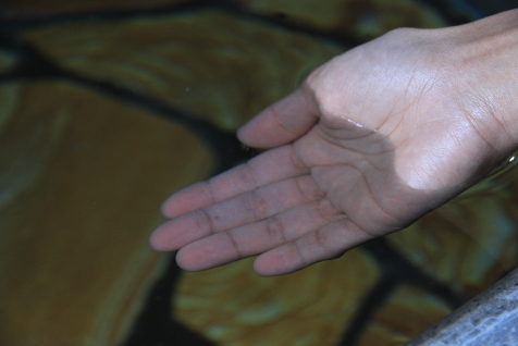 単純温泉で源泉掛け流しの由布岳温泉