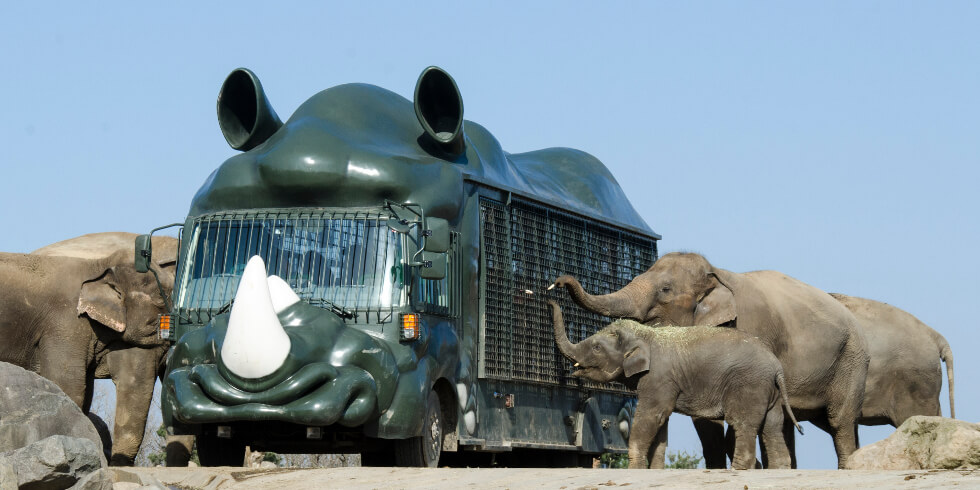 ジャングルバス