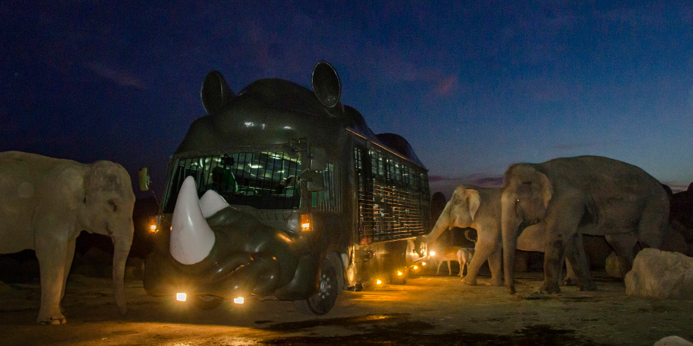 ナイトサファリ