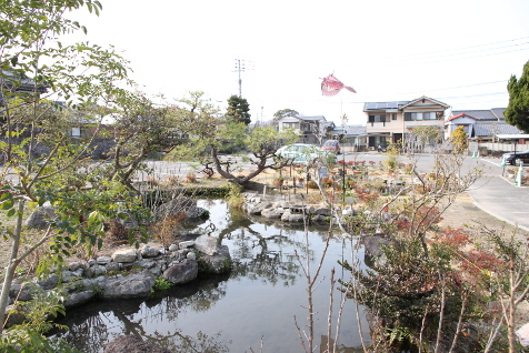 島原湧水ガ湧く池