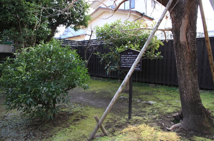 武家屋敷の庭